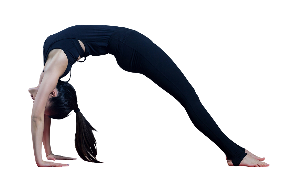 Urdhva Dhanurasana, Urdhva Dhanurasana png, Urdhva Dhanurasana PNG image, transparent Urdhva Dhanurasana png image